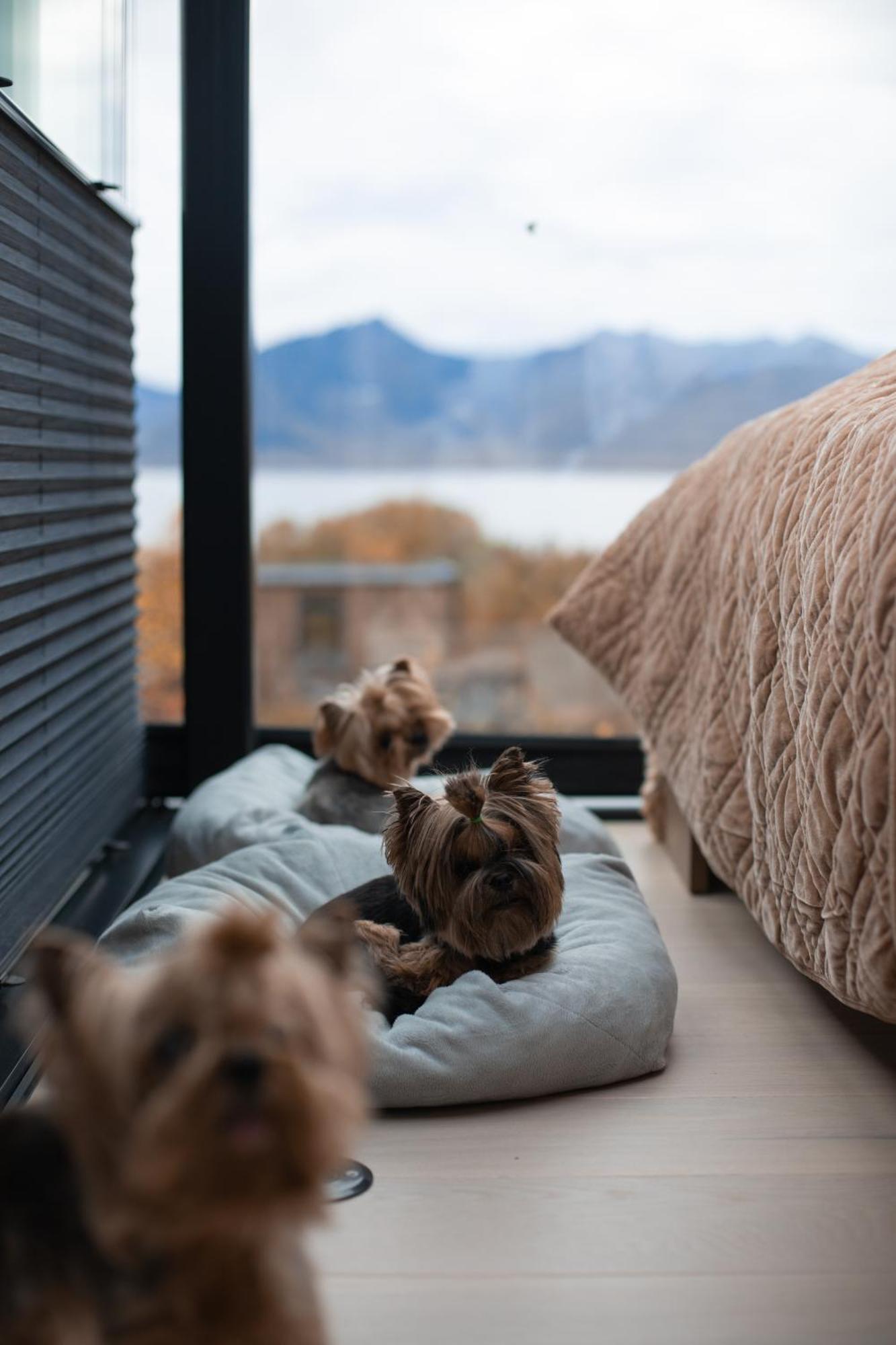 Wonderinn Arctic Utstrand エクステリア 写真